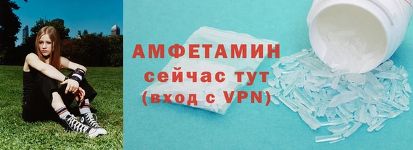 спиды Богданович
