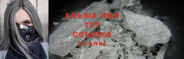 спиды Богданович