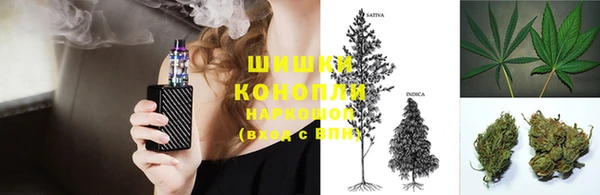 спиды Богданович