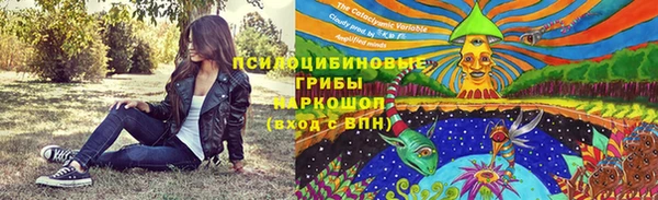 спиды Богданович